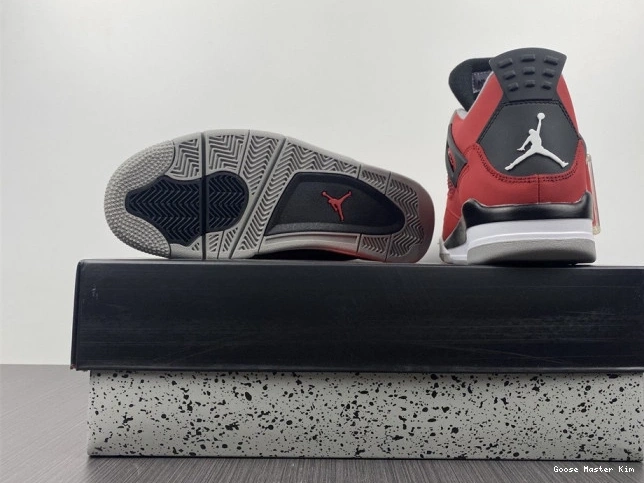308497-603 Bravo Jordan Retro Toro 4 0808